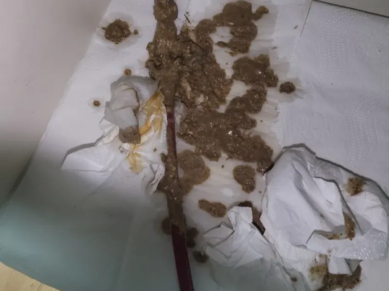 대전 서구 하수구 증상별 원인과 집에서 먼저 해 볼 것