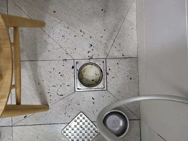 대전 서구 욕실 바닥 배수구 뚜껑을 연 모습